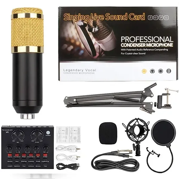 Professional Microphone Condenser