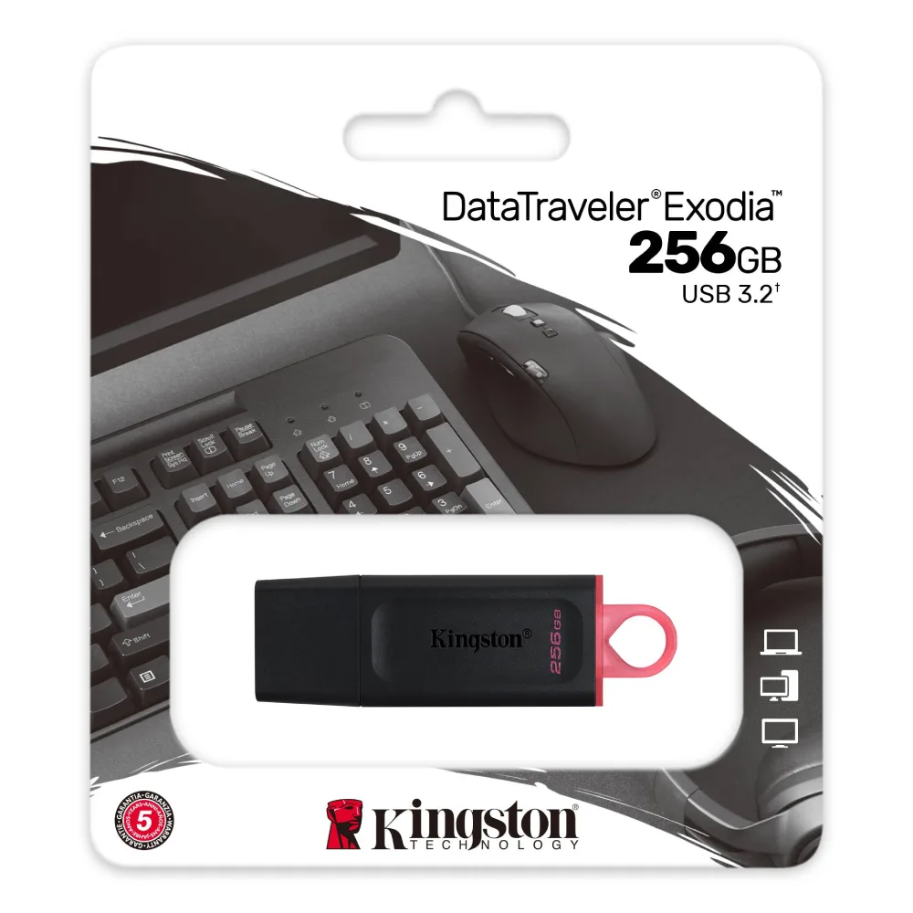 Kingston usb 256gb